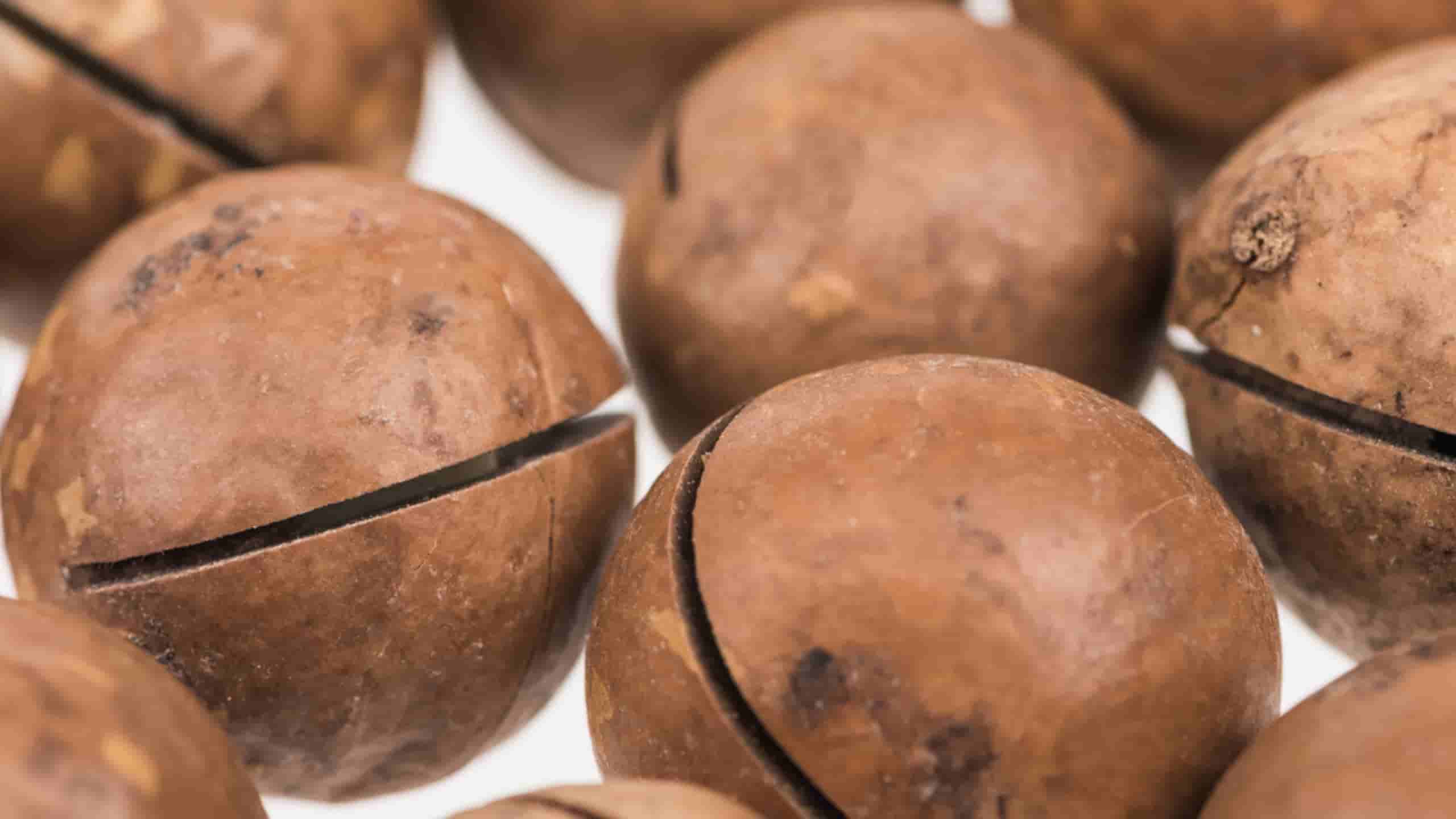 What is the best way to store bulk macadamia nuts?