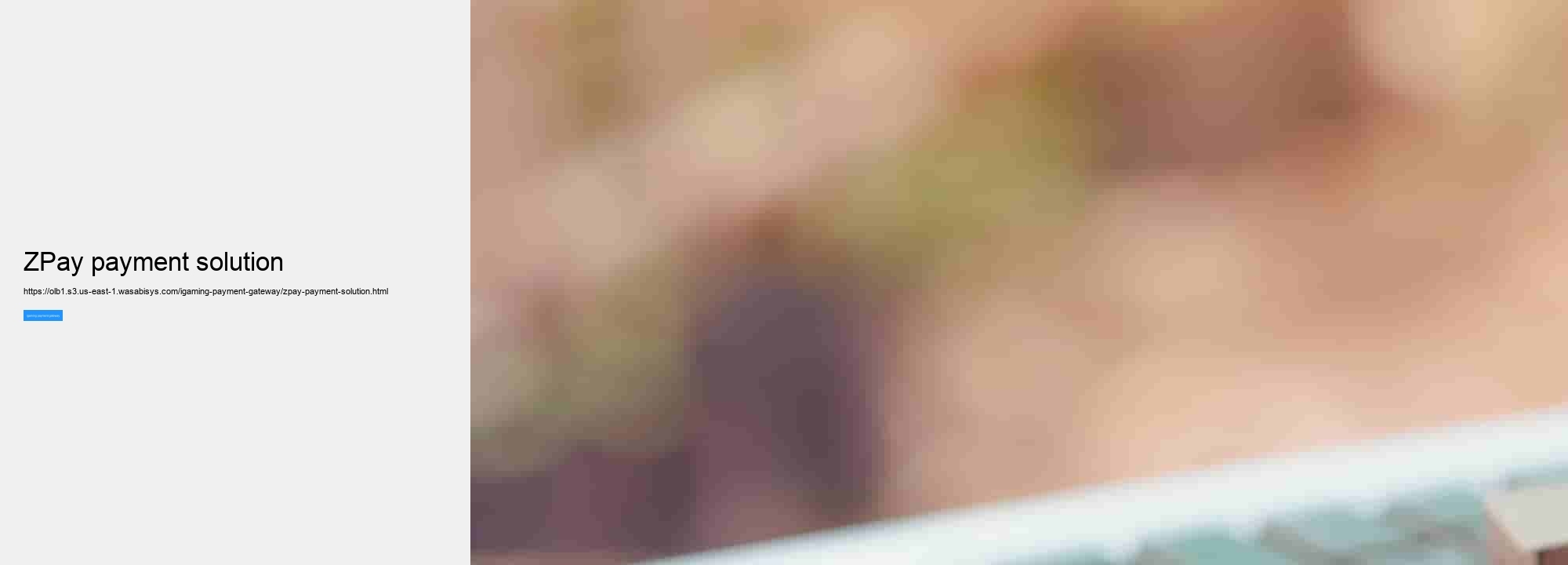 ZPay payment solution