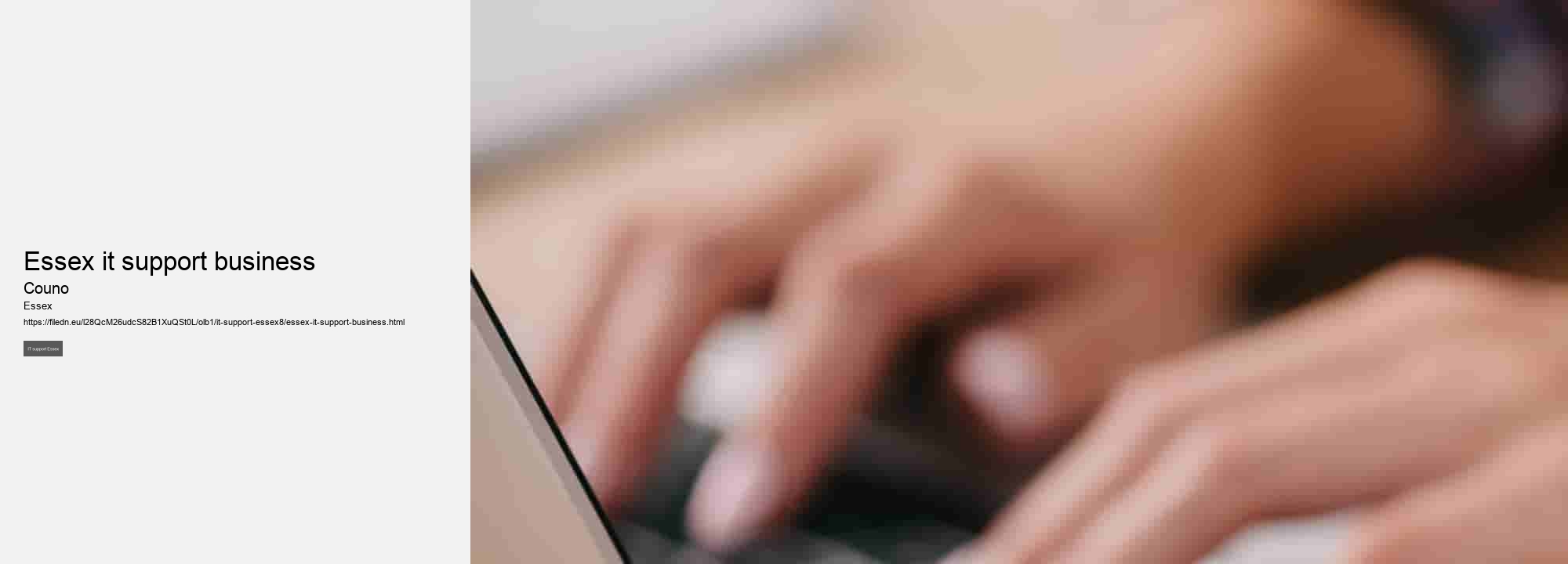 essex it support business