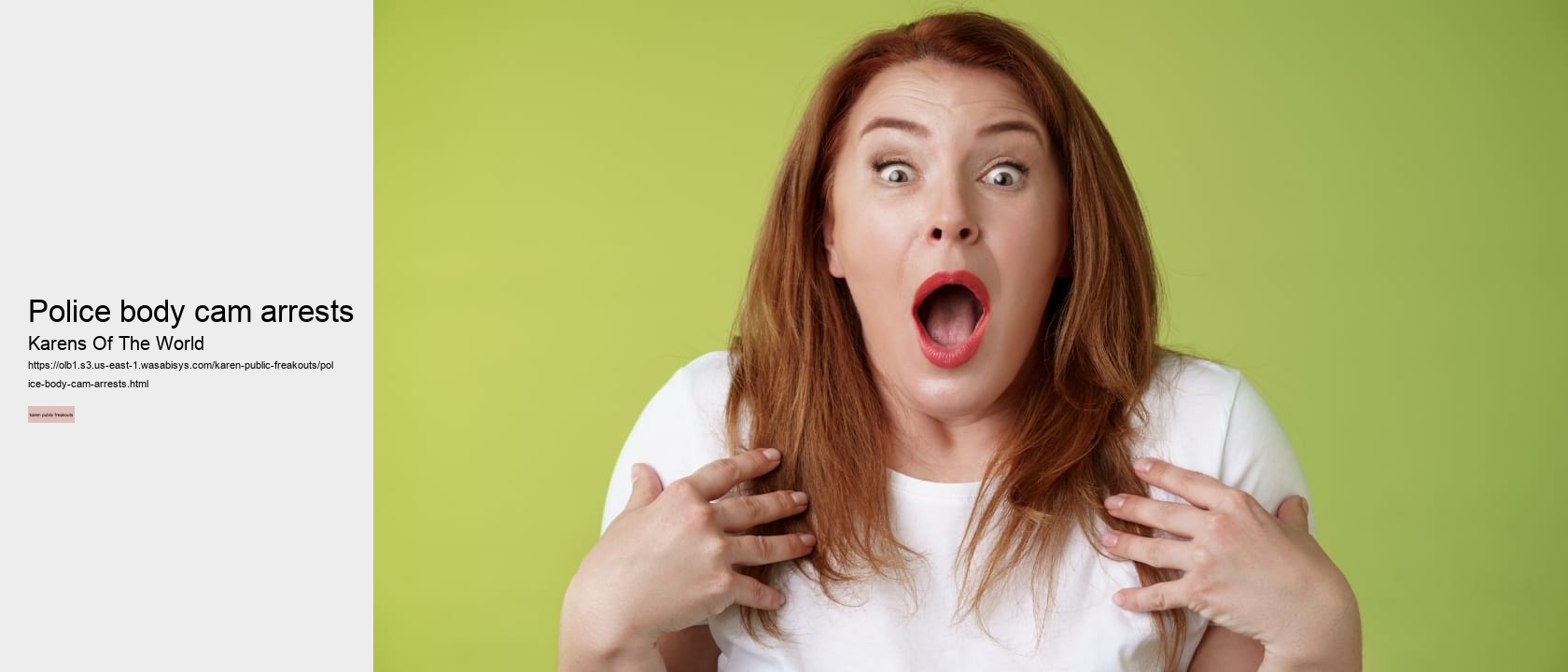 police body cam arrests