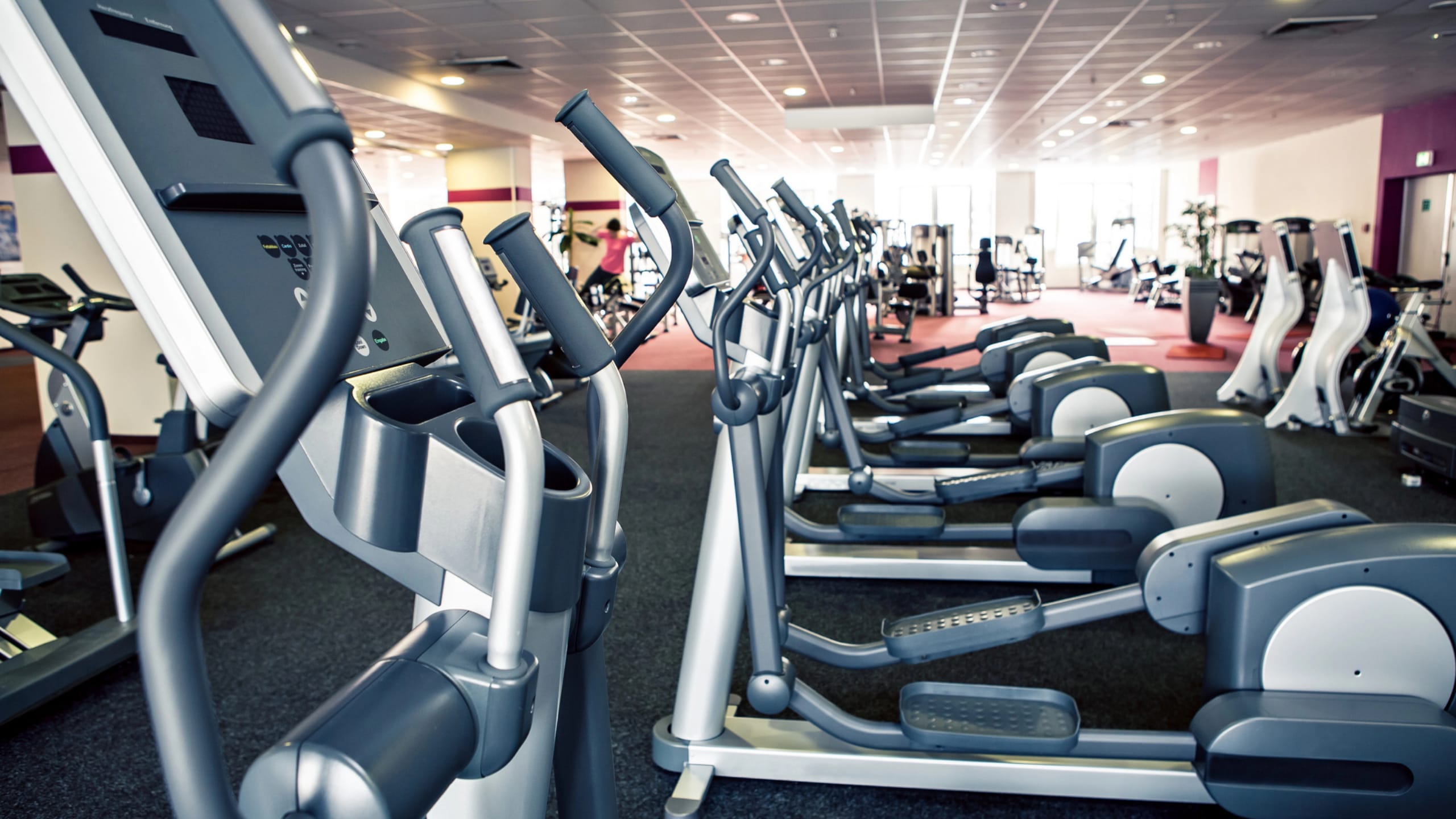 How to Improve Your Sensory Fitness with Daily Exercises